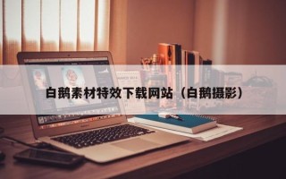 杞县白鹅素材特效下载网站（白鹅摄影）